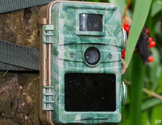 Best Trail Camera