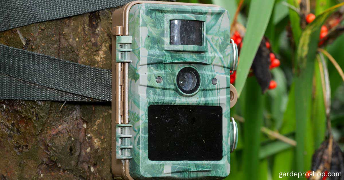 Best Trail Camera | for Deer Hunting Success