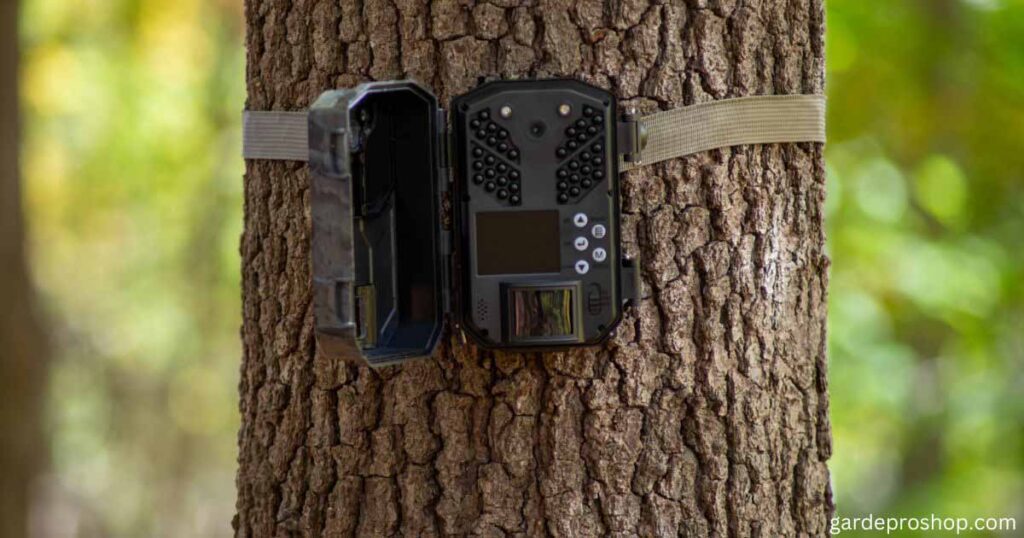 Best Trail Camera